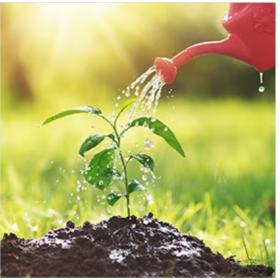 Почему нужно беречь воду